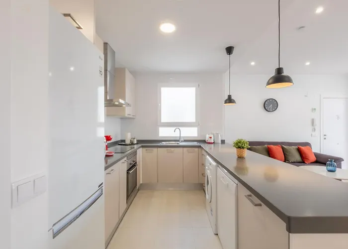 Spacious Penthouse With Private Terrace Apartment
