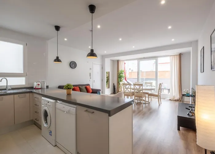 Spacious Penthouse With Private Terrace Apartment